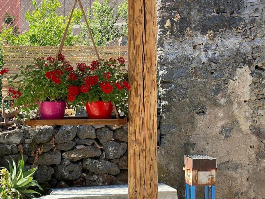Casaammari Villa Acireale Ngoại thất bức ảnh